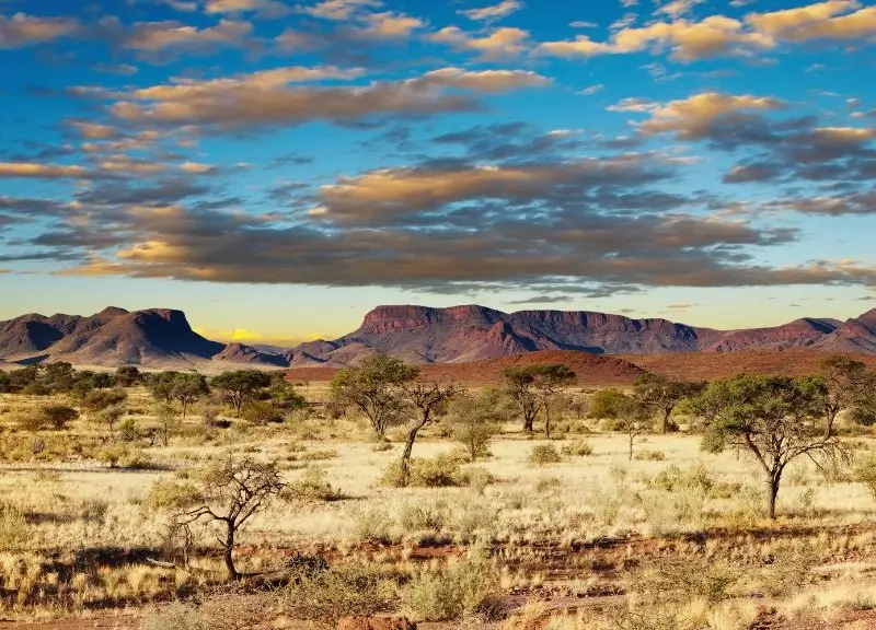 Landschaft Kalahari in Namibia