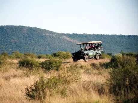 Safari Buschland Südafrika