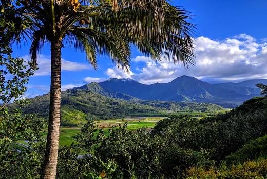 Landschaft auf Kauai Island Hawaii