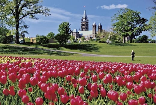 Parlaments Hill Ottawa im Frühling