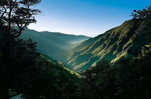 Blick vom Hochgebirge auf Madeira zum Atlantik